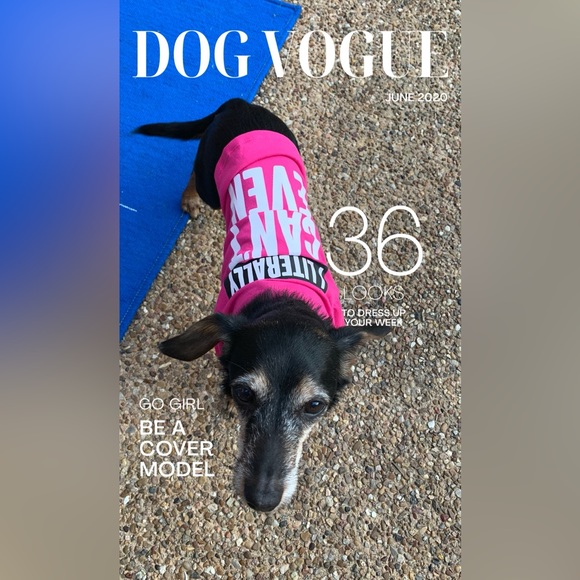 Meet your Poshers, Tracey and BeanieDoodle - Picture 9 of 15